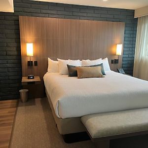 King Room Roll Shower Disability Access or Non Smoking